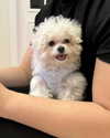 ll.lu1s Altpins Profile Picture