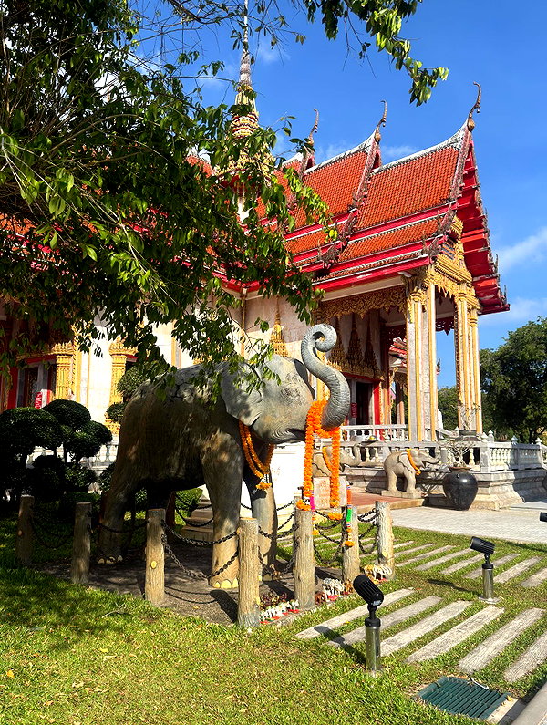 tamagotkri instagram image archive image