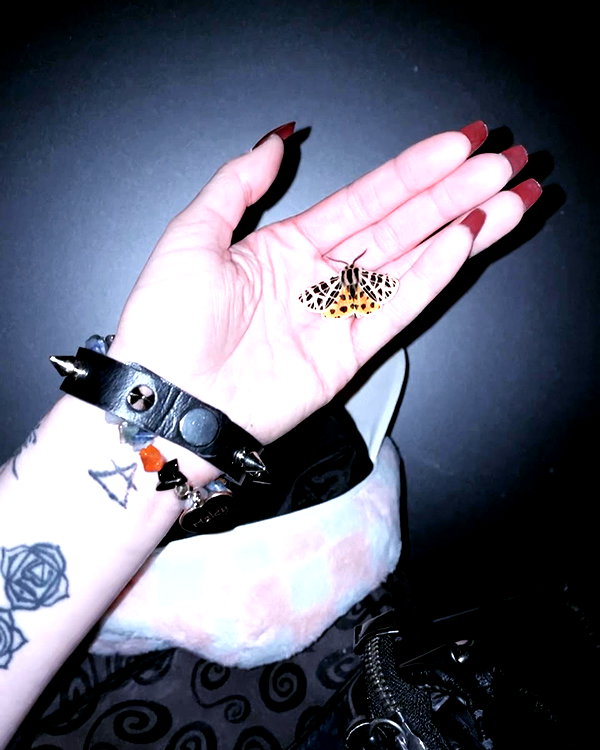 haileylayfield instagram image archive image