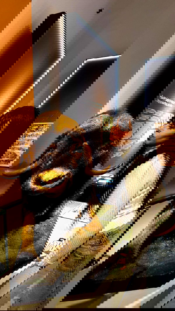 rinsrain rinsrain archive image