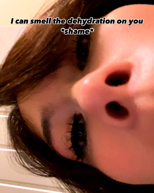 war_hamster6 instagram image archive image