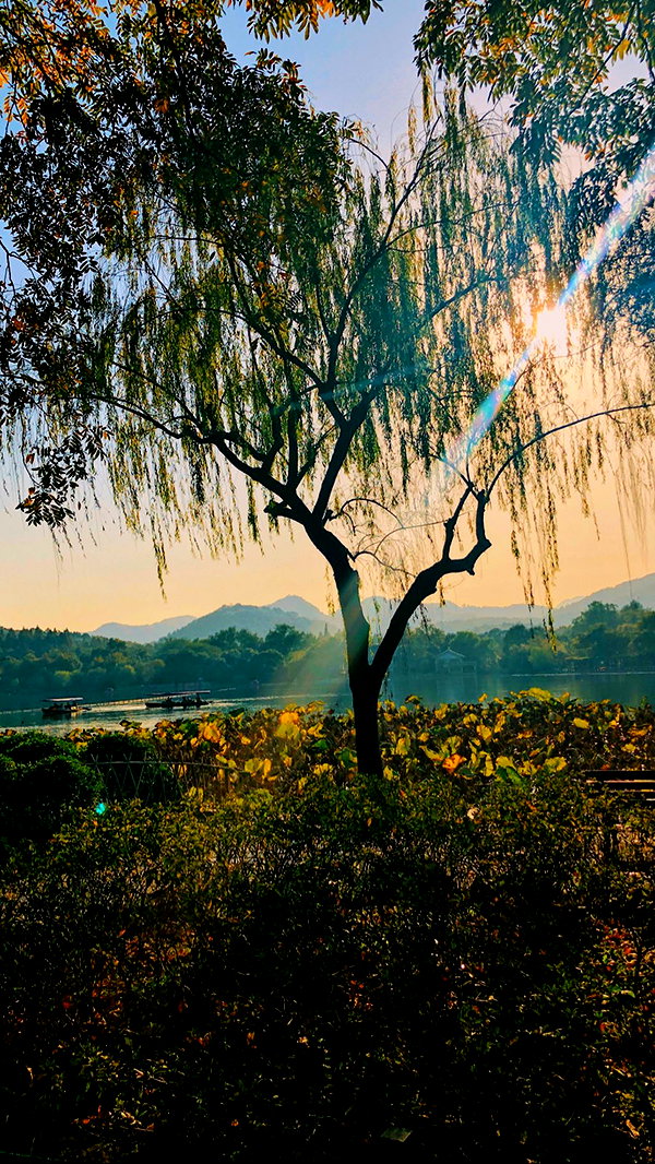 nikoleta.milenova instagram image archive image