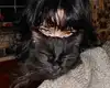 chica.niebla Altpins Profile Picture