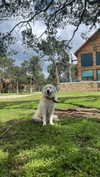 analuvillarreal Altpins Profile Picture