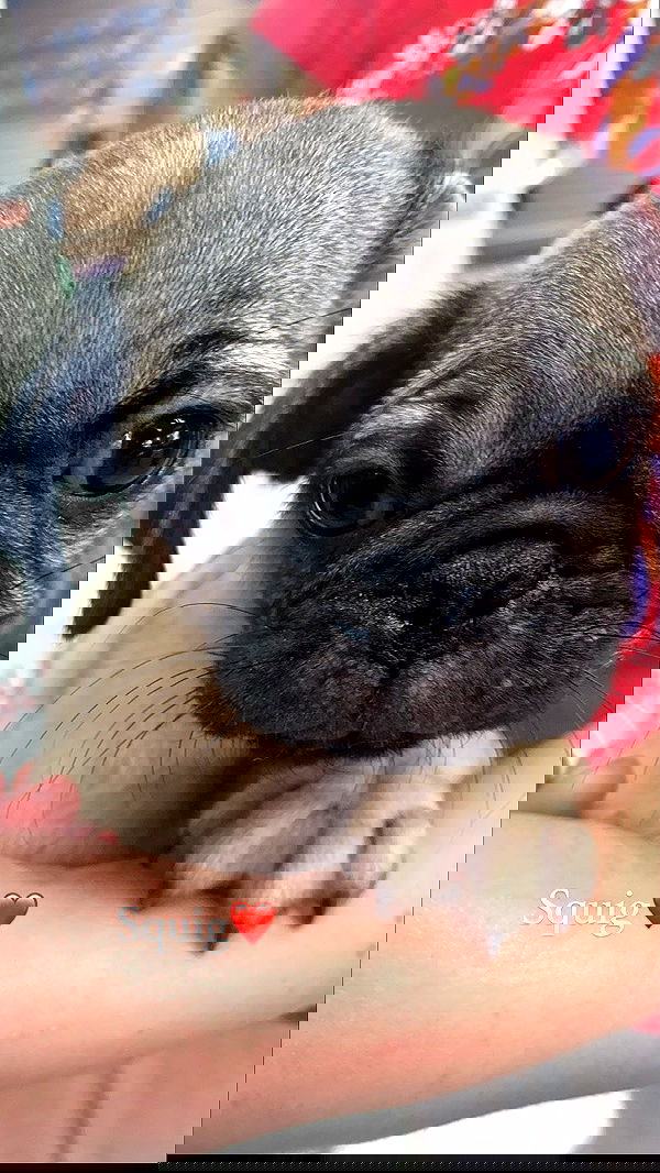 taylor.creeden taylor.creeden archive image