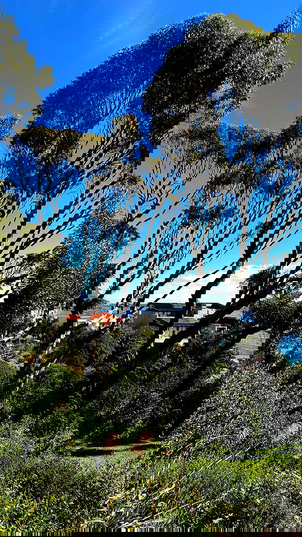 taylor.creeden taylor.creeden archive image