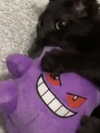 milkiwifey Altpins Profile Picture