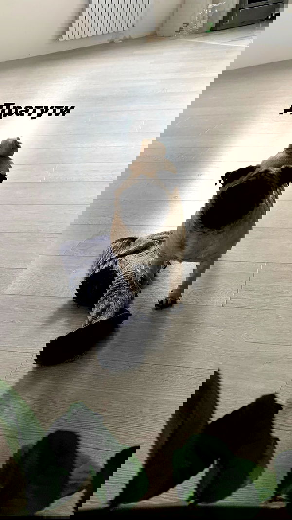 nyityam nyityam archive image