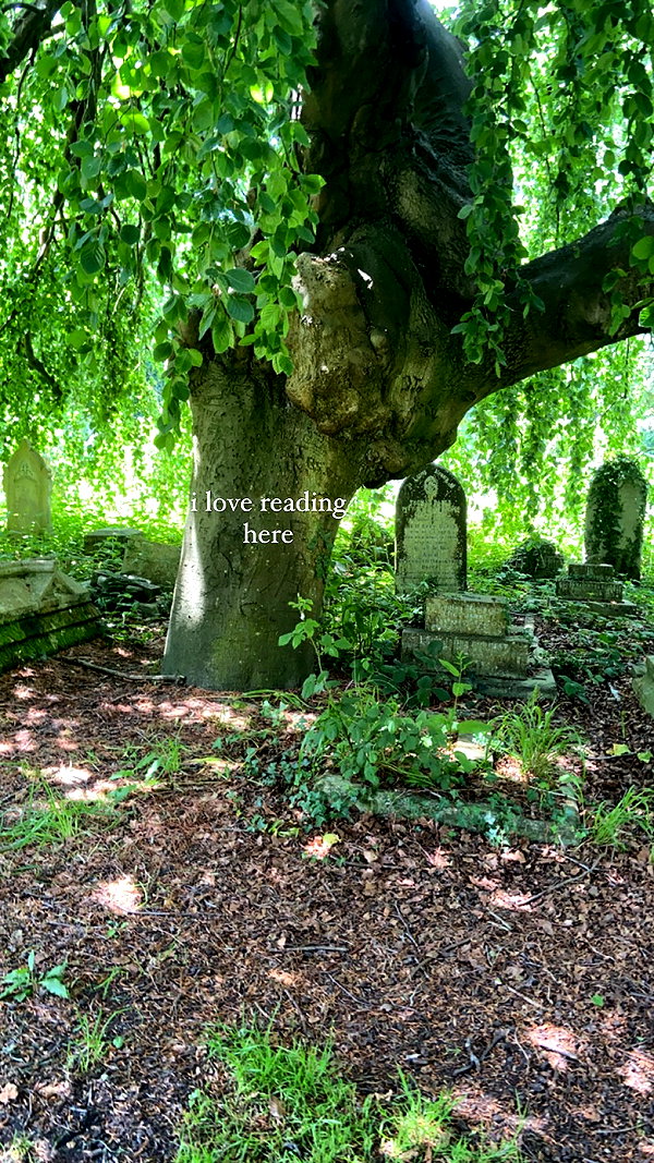 nylthria nylthria archive image