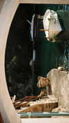 pia__kim Altpins Profile Picture