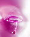 theonlyantonia Altpins Profile Picture