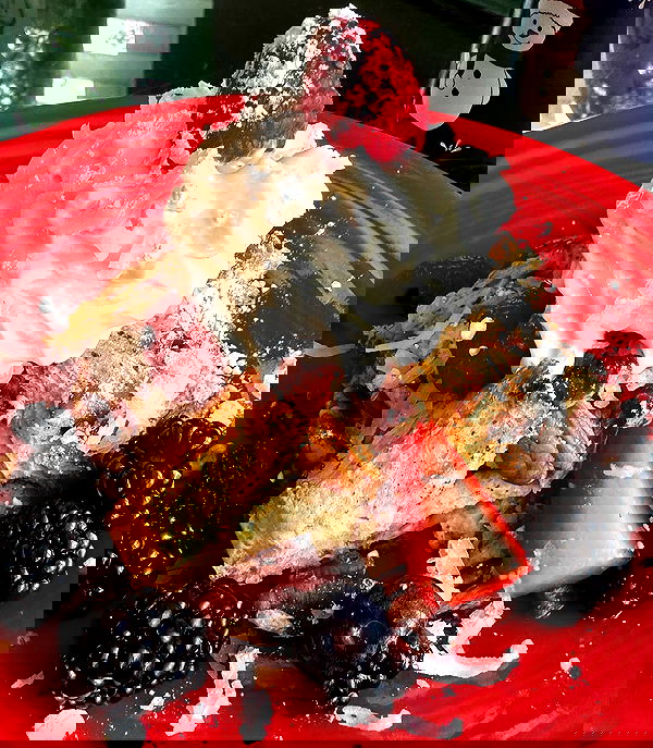 taylor.creeden taylor.creeden archive image