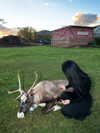 3xiiicom Altpins Profile Picture