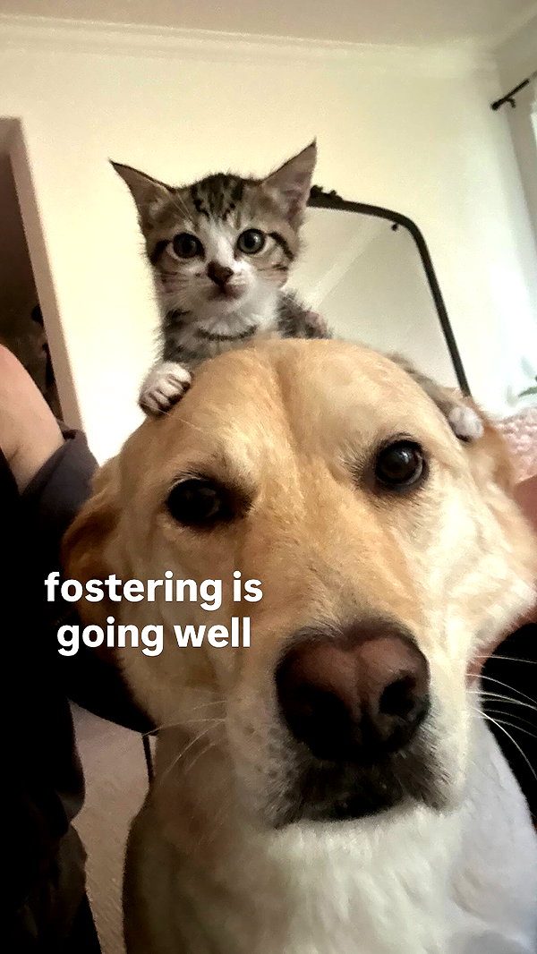 gabbyepstein instagram image archive image