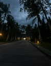 liya.barsky Altpins Profile Picture