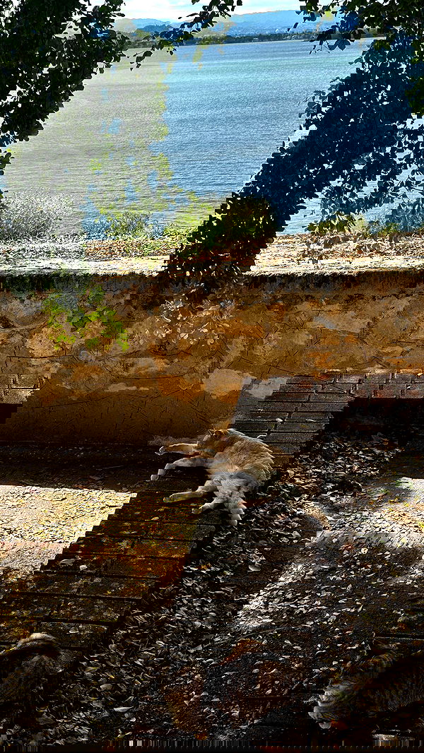 taylor.creeden taylor.creeden archive image