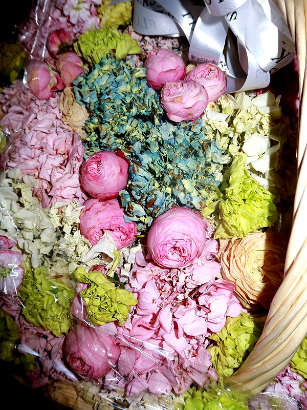 antotkaa instagram image archive image