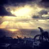 gigihadid Altpins Profile Picture