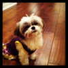 ashleybenson Altpins Profile Picture