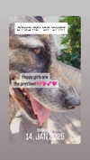 emily_new2 Altpins Profile Picture