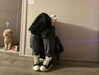 kaniiberry Altpins Profile Picture