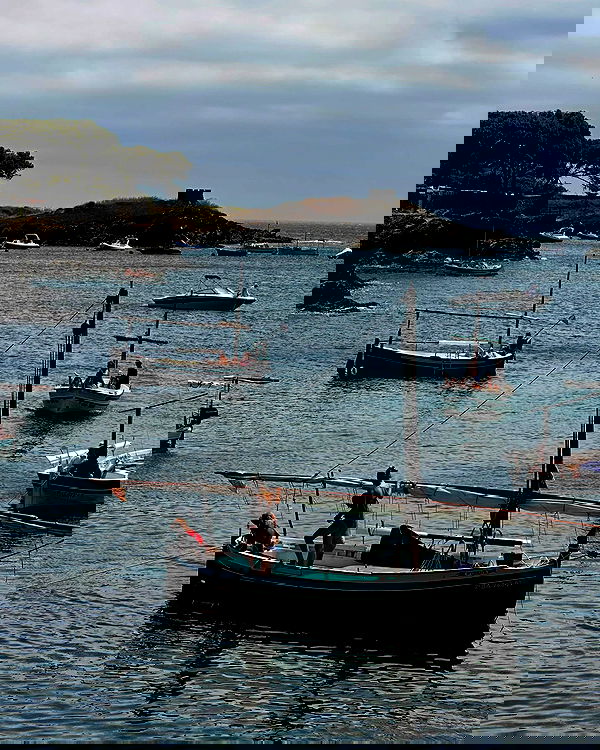 taylor.creeden taylor.creeden archive image