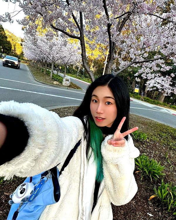 shulunc instagram image archive image