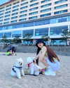 dear.zia Altpins Profile Picture