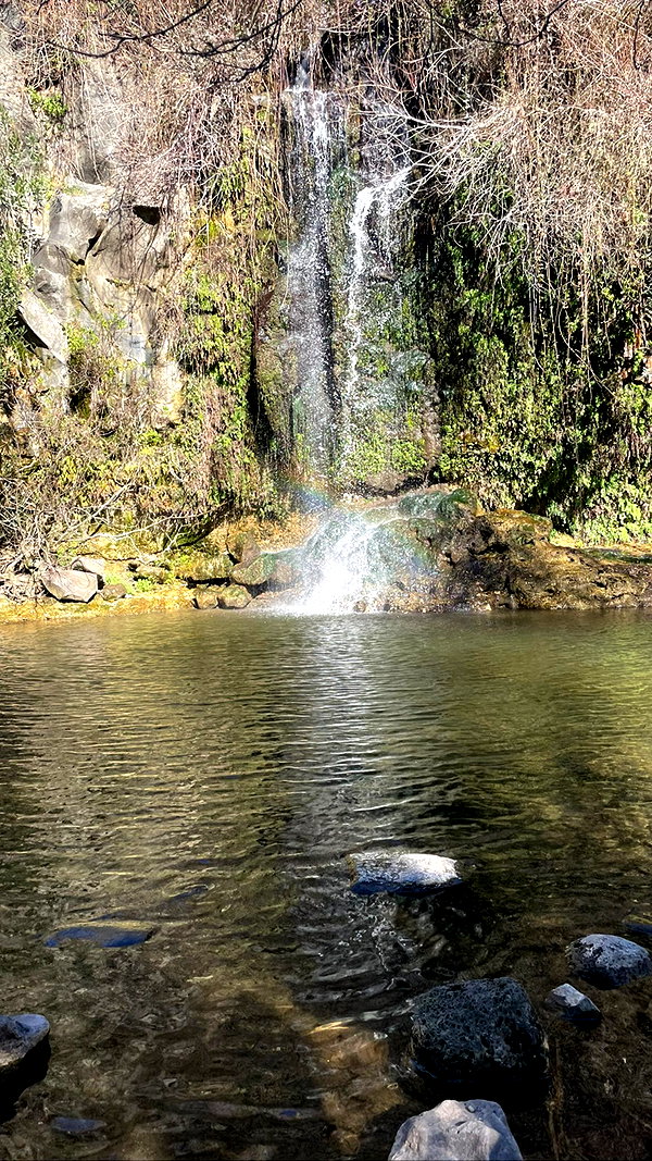 tamar_tsur instagram image archive image