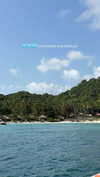 shirakor_ Altpins Profile Picture