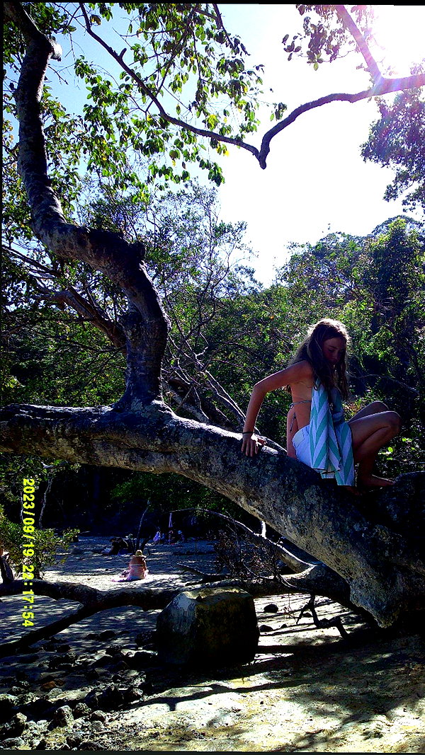 daisy_r_19 archive image