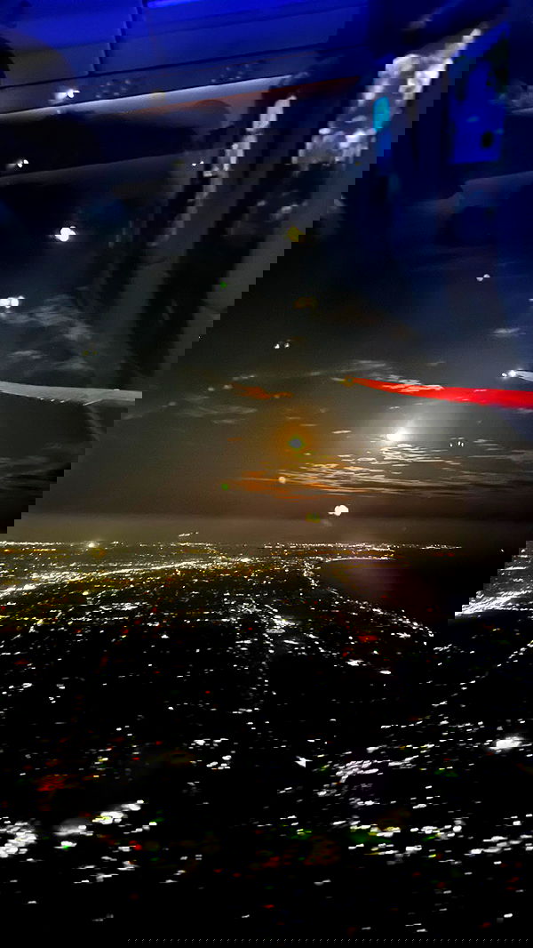 leonanaomii image ~ Altpins