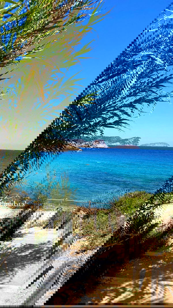 taylor.creeden taylor.creeden archive image