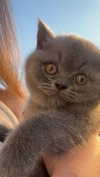 alexsndranowak Altpins Profile Picture