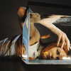 nicolekidman Altpins Profile Picture