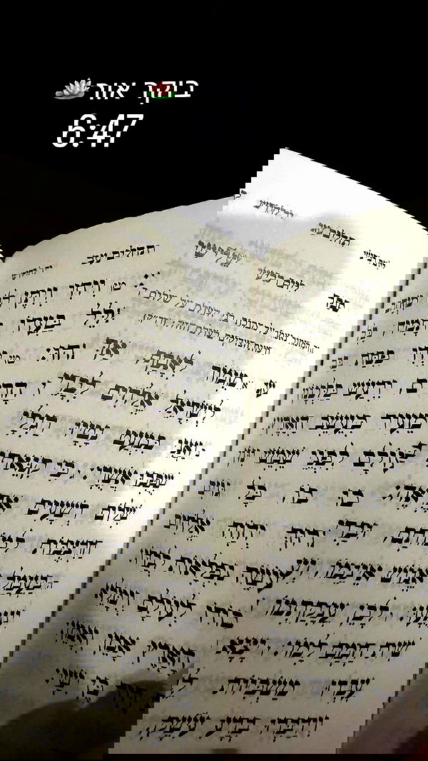 liad.arazi liad.arazi archive image