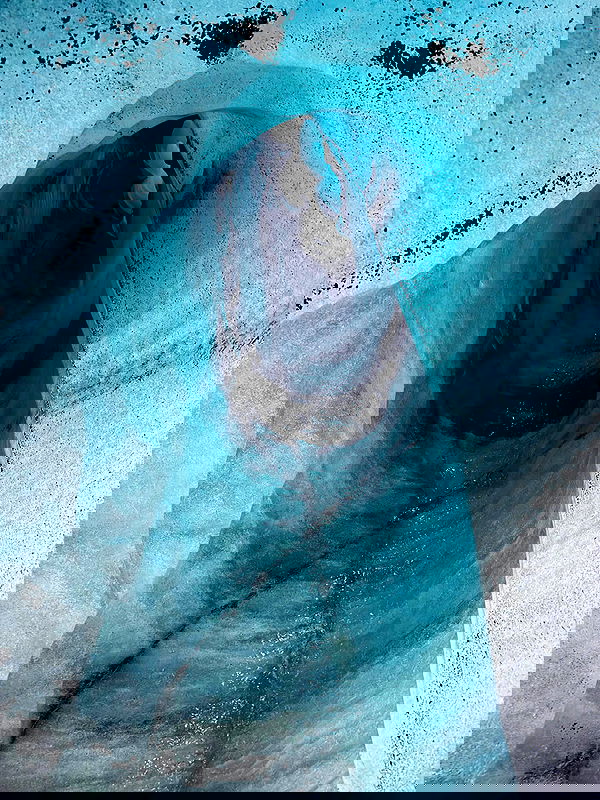 taylor.creeden taylor.creeden archive image