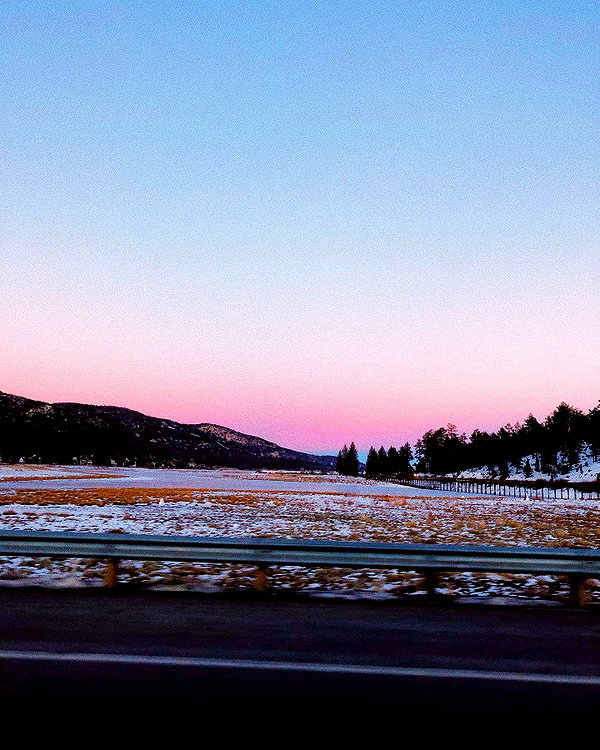 haileylayfield instagram image archive image
