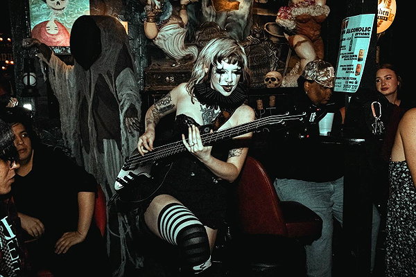 cat.cavity instagram image archive image