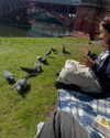 jahia_brown Altpins Profile Picture
