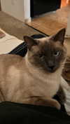 tatumchurch Altpins Profile Picture