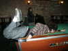 bugz4brainz Altpins Profile Picture