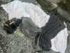 ash.onme Altpins Profile Picture