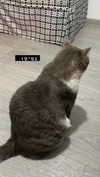 dante_yangpa Altpins Profile Picture