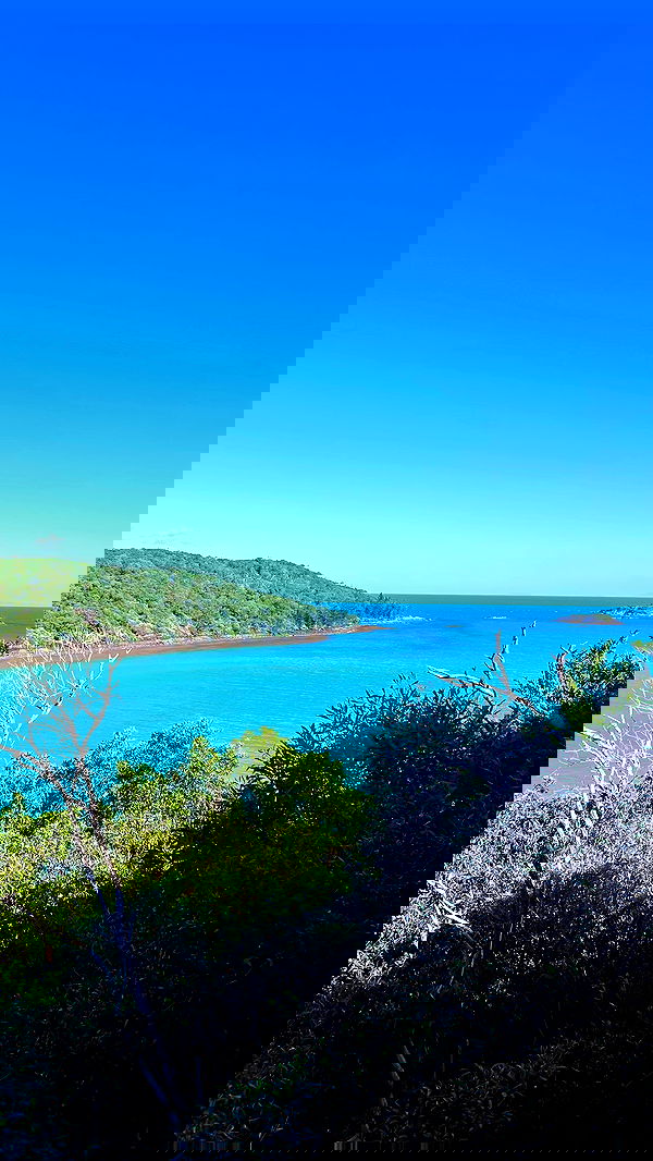 ellamwatts_ ellamwatts_ archive image