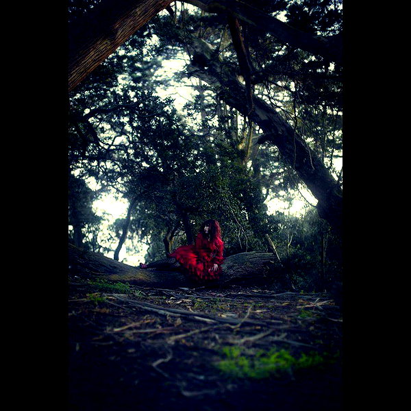 muze instagram image archive image