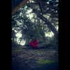 muze Altpins Profile Picture