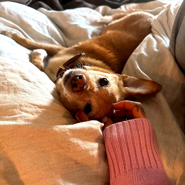 arianagrande instagram image archive image