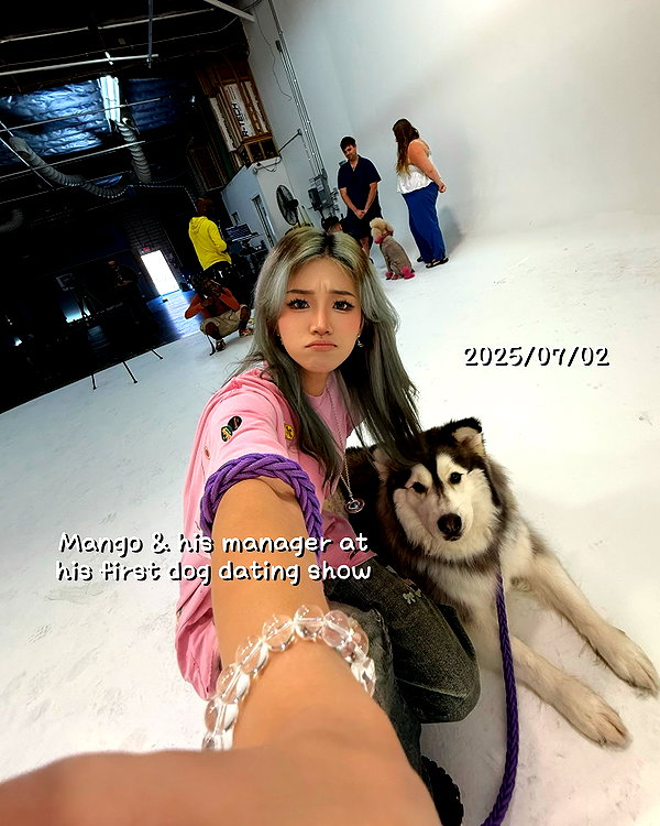 shulunc instagram image archive image