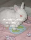 cuteamber666 Altpins Profile Picture